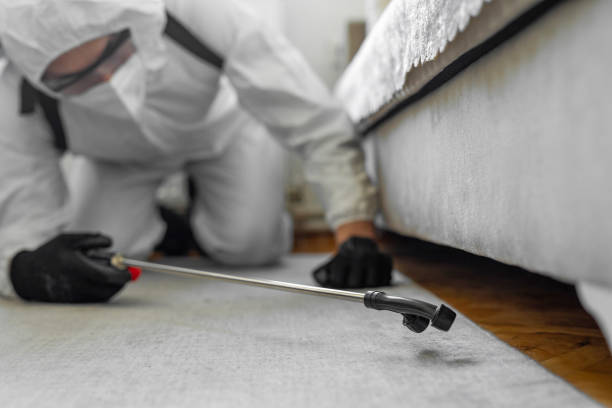 Professional Cockroach Control technician working in Island City, OR