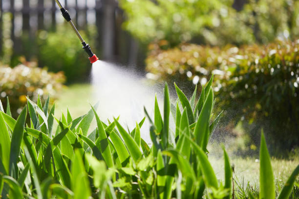 24/7 Emergency Cockroach Control experts in Island City, OR