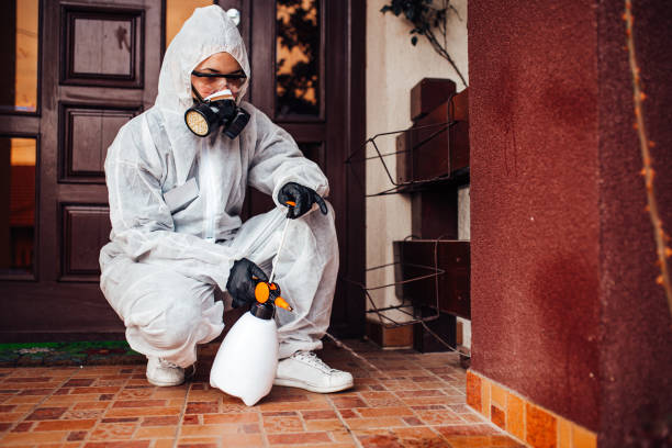 Reliable Cockroach Control contractor in Island City, OR by Nex Pest Control