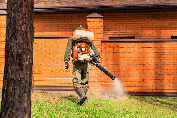Top rated local Cockroach Control specialists in Island City, OR